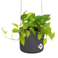 b.for swing 18cm anthracite